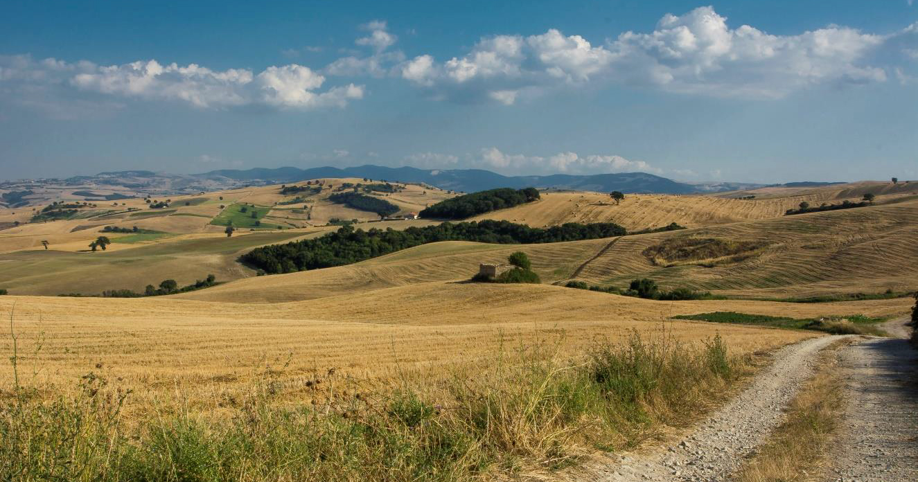 Il paesaggio del grano: L'area cerealicola di Melanico in Molise
