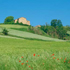 immagine campagna