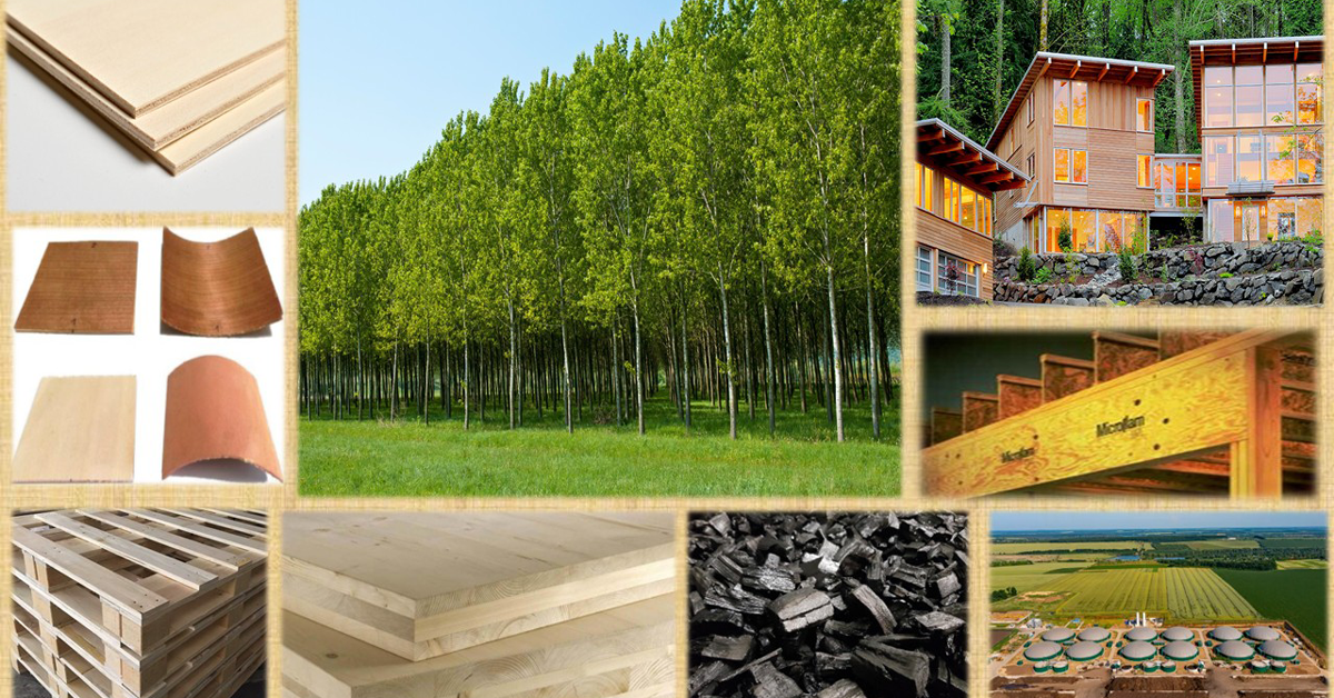 cover locandina evento