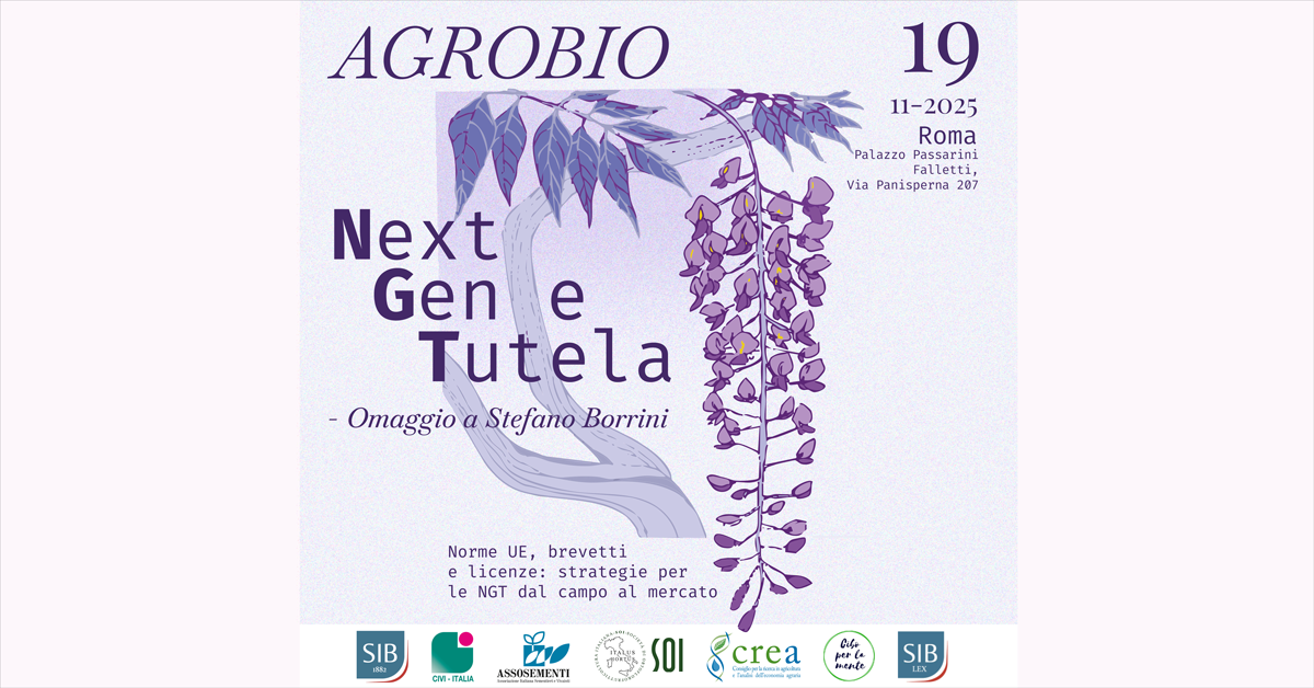 locandina evento