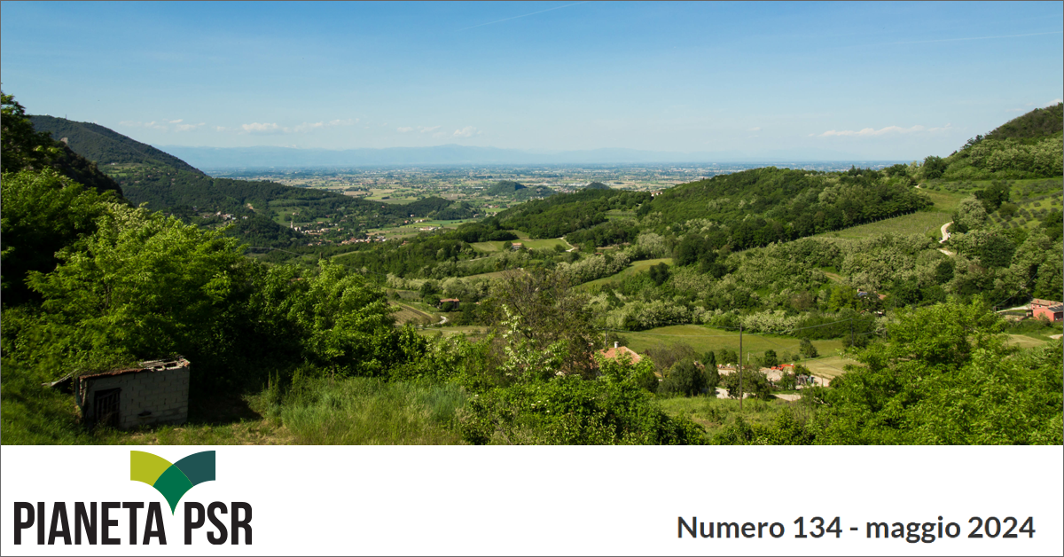 immagine notizia