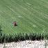 campagna marchigiana