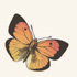 biodiversit