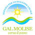 logo Gal molise verso 2000