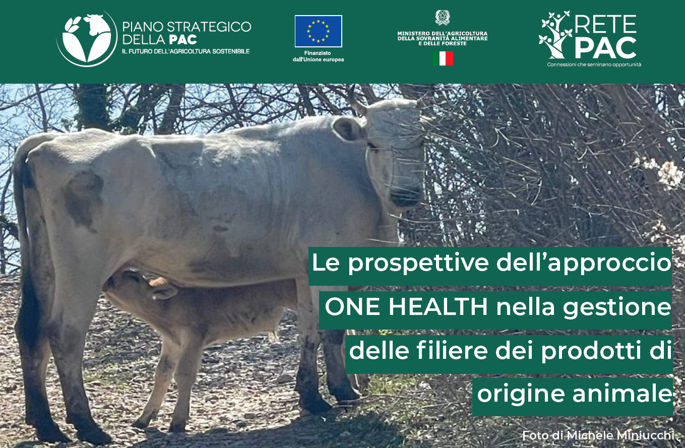 immagine notizia