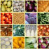 immagine frutta e verdura