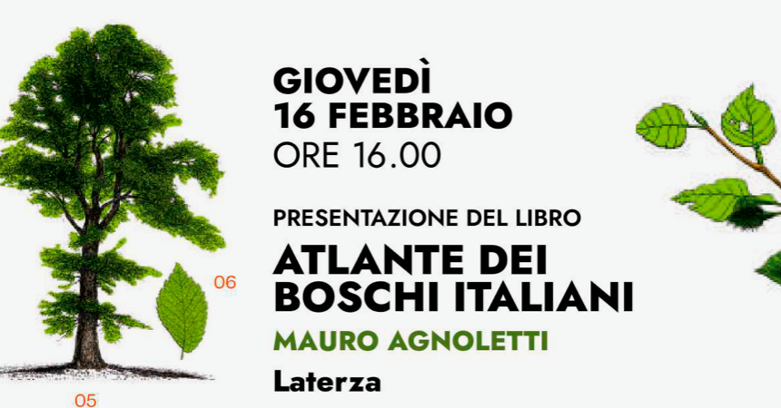 piantagione di legnAtlante dei boschi italianio