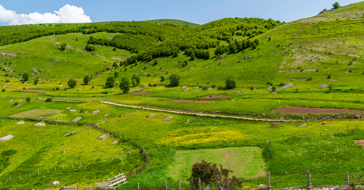 foto dell'itinerario