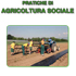 copertina documento