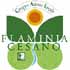 Logo GAL Flaminia Cesano