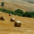 aree rurali toscana