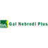 Logo GAL Nebrodi Plus