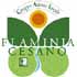 Logo GAL Flaminia Cesano 