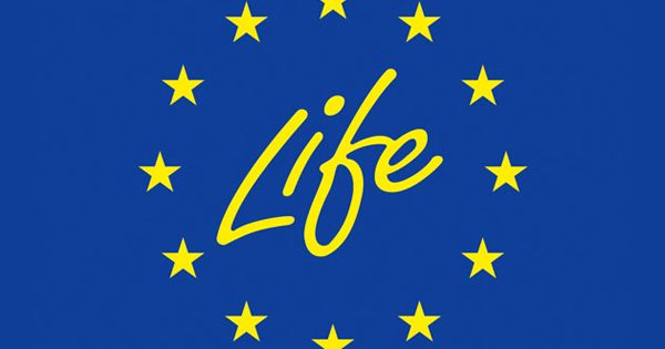 logo evento