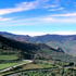 foto colture Sicilia