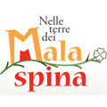 logo Nelle Terre dei Malaspina