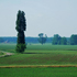 Immagine campagna mantovana