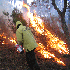 foto incendio boschivo