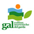 Logo GAL Colline Moreniche