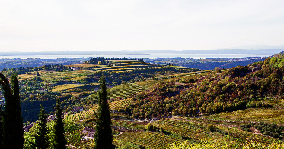 Le colline terrazzate della Valpolicella