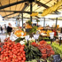 fattoria sociale