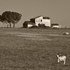 immagine campagna laziale