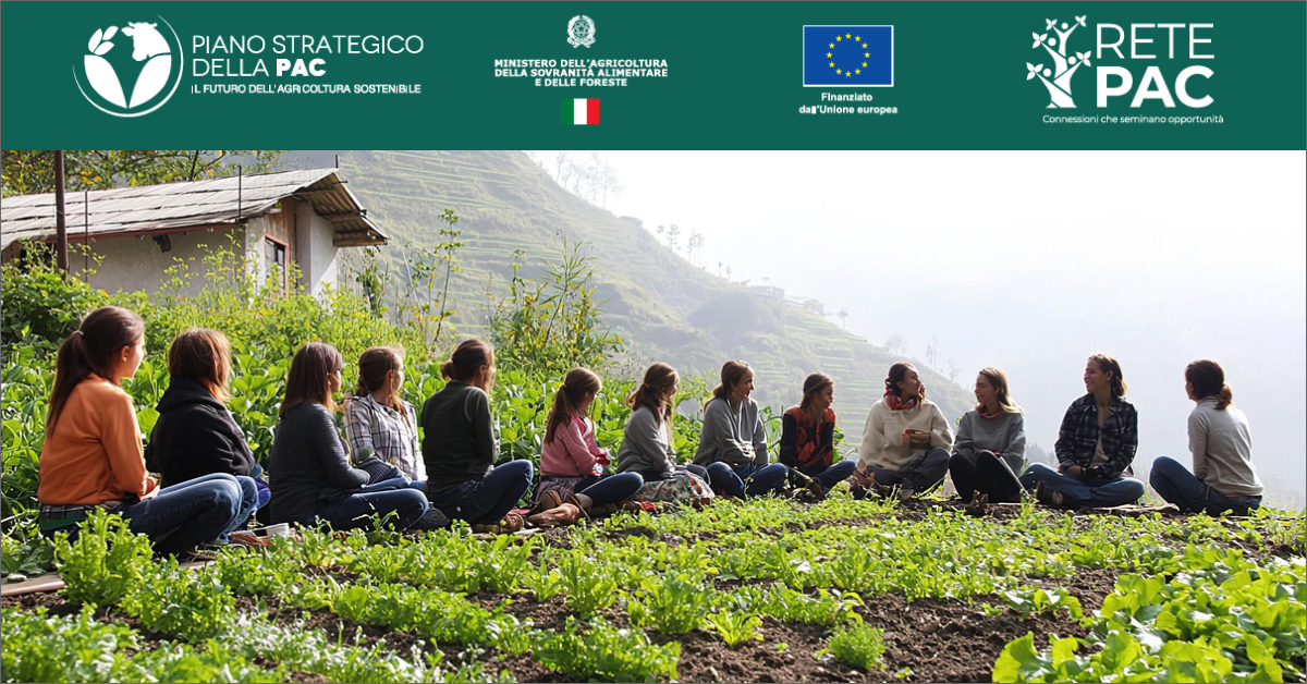 copertina documento