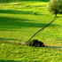 terreno agricolo