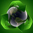 immagine ecologia