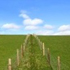 recinsione di un campo