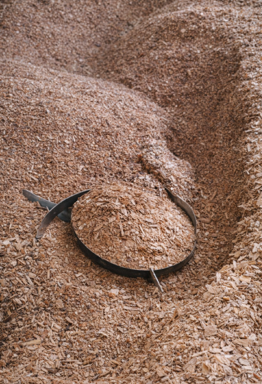 filiera legno-energia