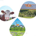 rural news