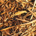 biomasse