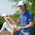 Il ministro Zaia tra gli apicoltori