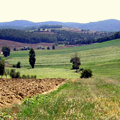 zone rurali