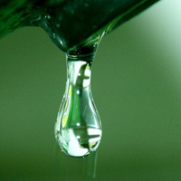 Acqua