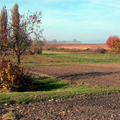 Paesaggio rurale