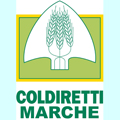 Logo Coldiretti Marche