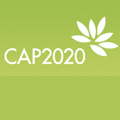 Logo CAP2020
