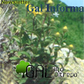 Newsletter GAL INFORMA