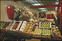 agrifood