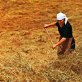 donne in agricoltura