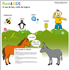 home sito rural4kids