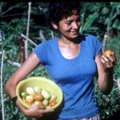 agricoltrice