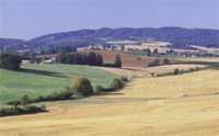 Terreni coltivati