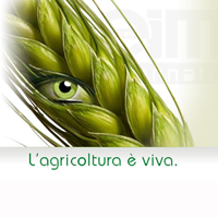Logo dell'evento