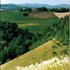 campo agricolo