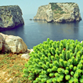Costa mediterranea