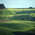 terreni agricoli