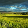 Paesaggio agricolo